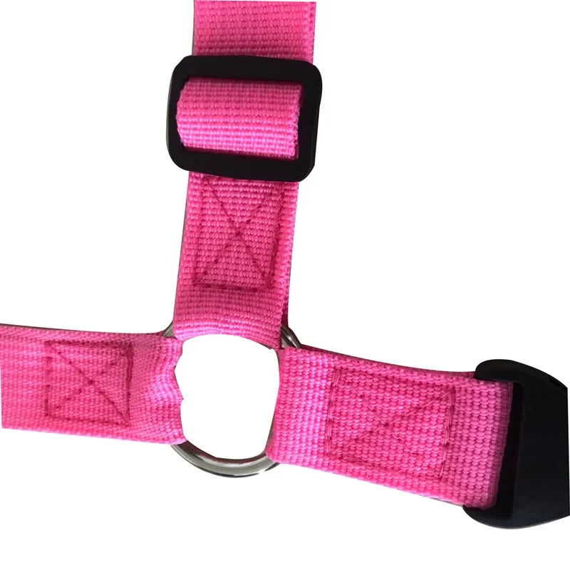 Ceinture de Sécurité