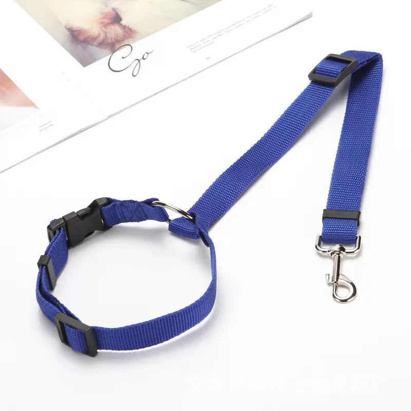 Ceinture de Sécurité